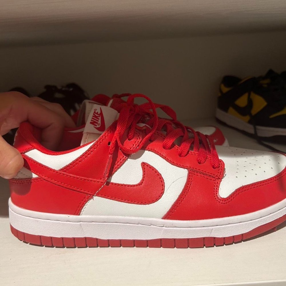 Stjohn Nike Dunk Lows Size